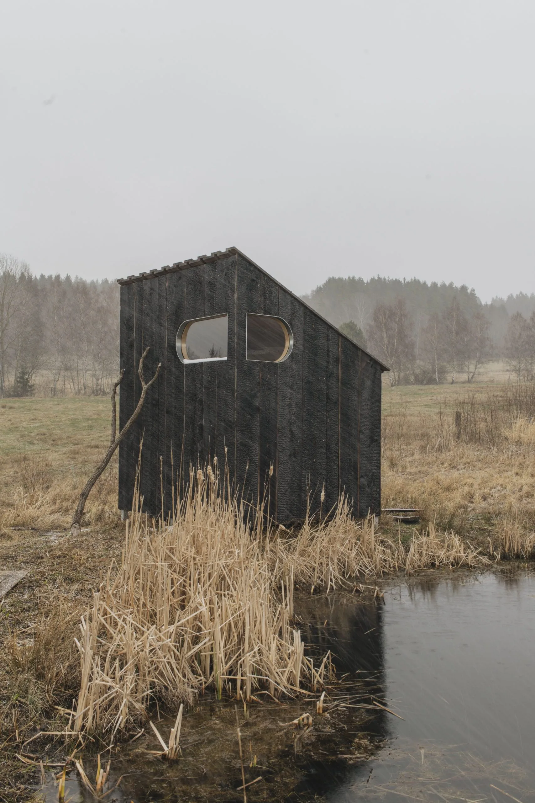Yakisugi Sauna – fotografie 8