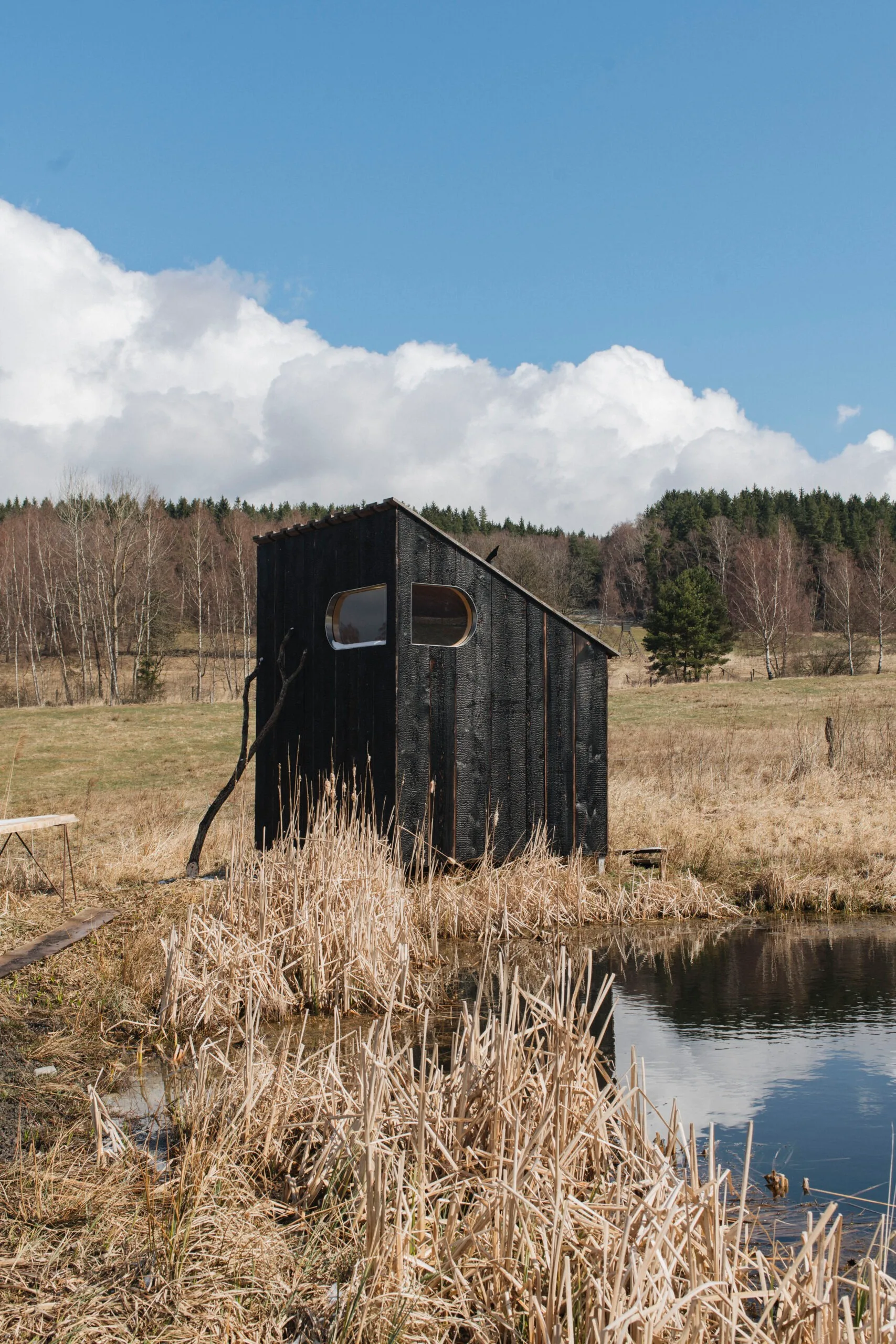 Yakisugi Sauna – fotografie 5