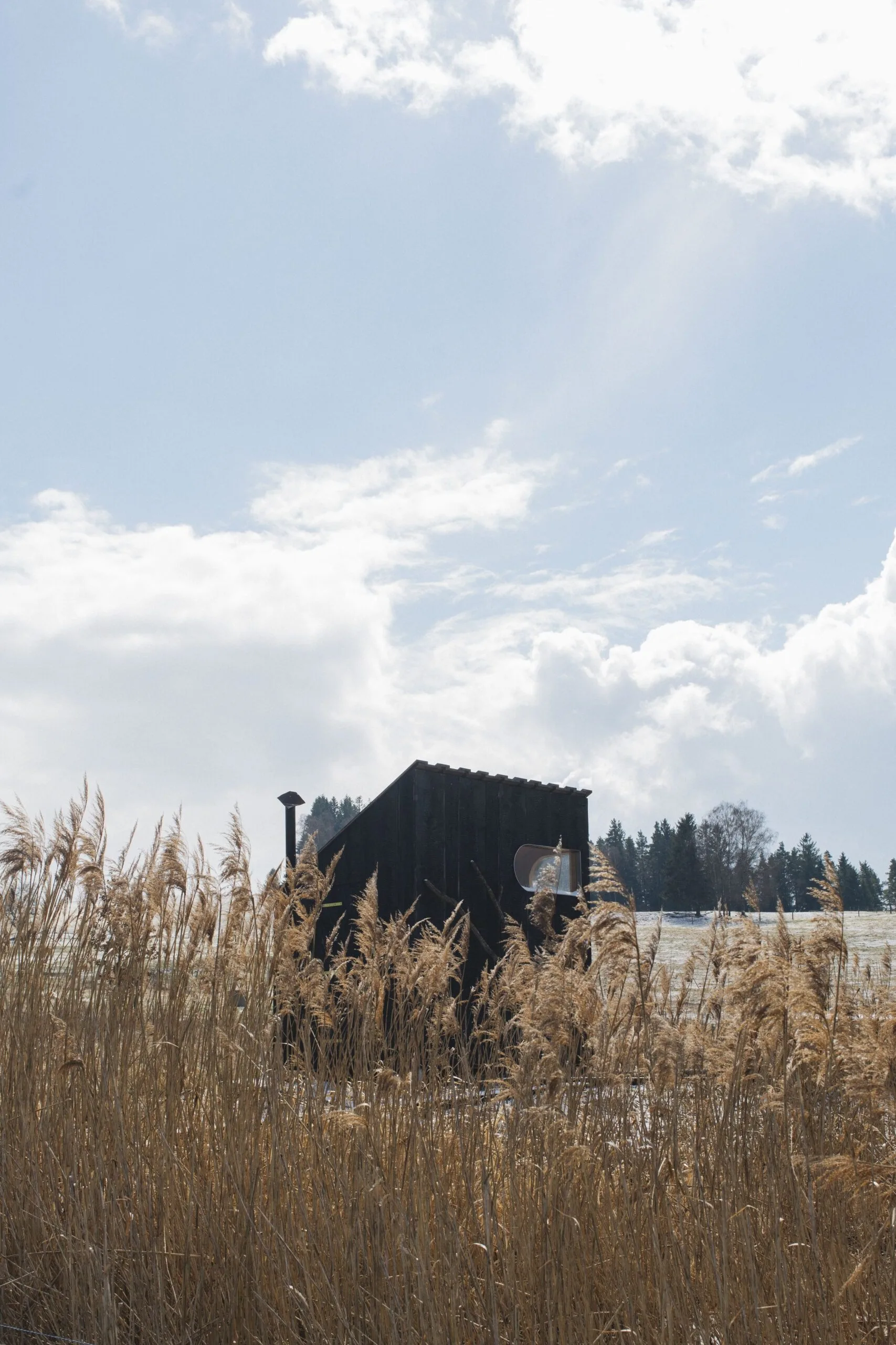 Yakisugi Sauna – fotografie 3