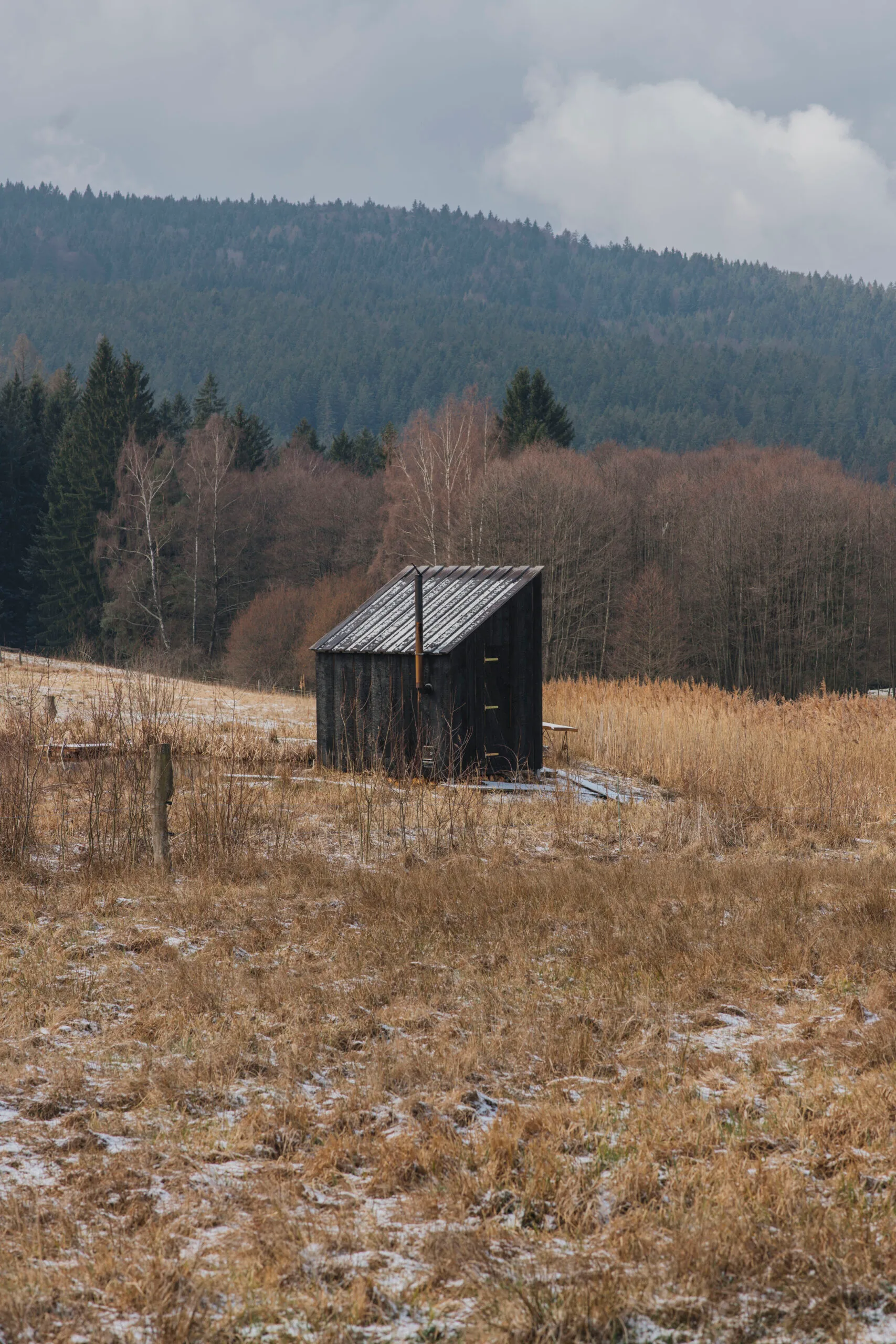 Yakisugi Sauna – fotografie 2