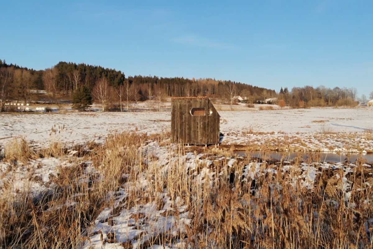 Sauna Yakisugi v Novohradských horách. Autor: KURZ architekti