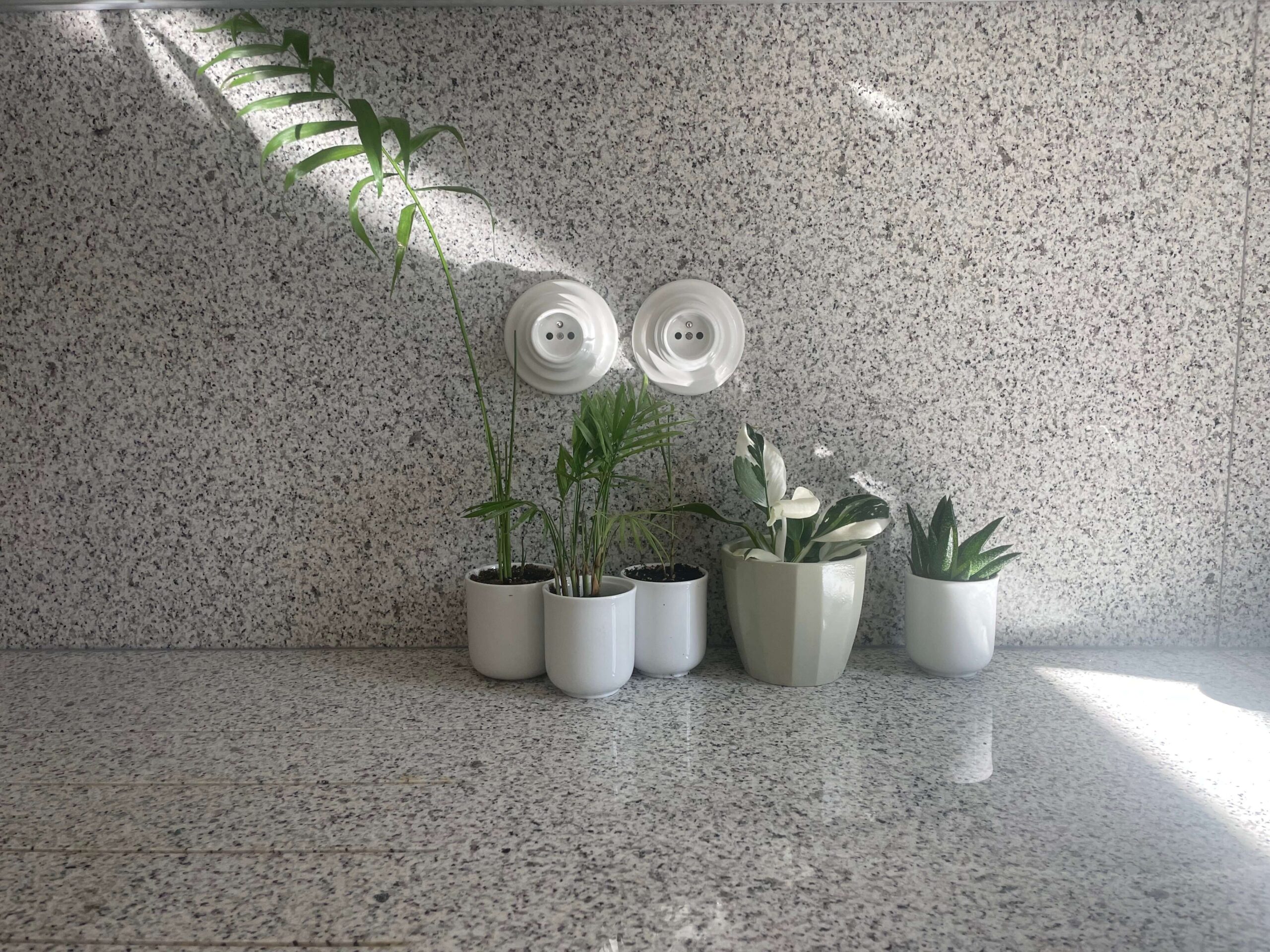 01_Kurz_architects_Cinzak_Ceske_Budejovice_kuchyn_stiny