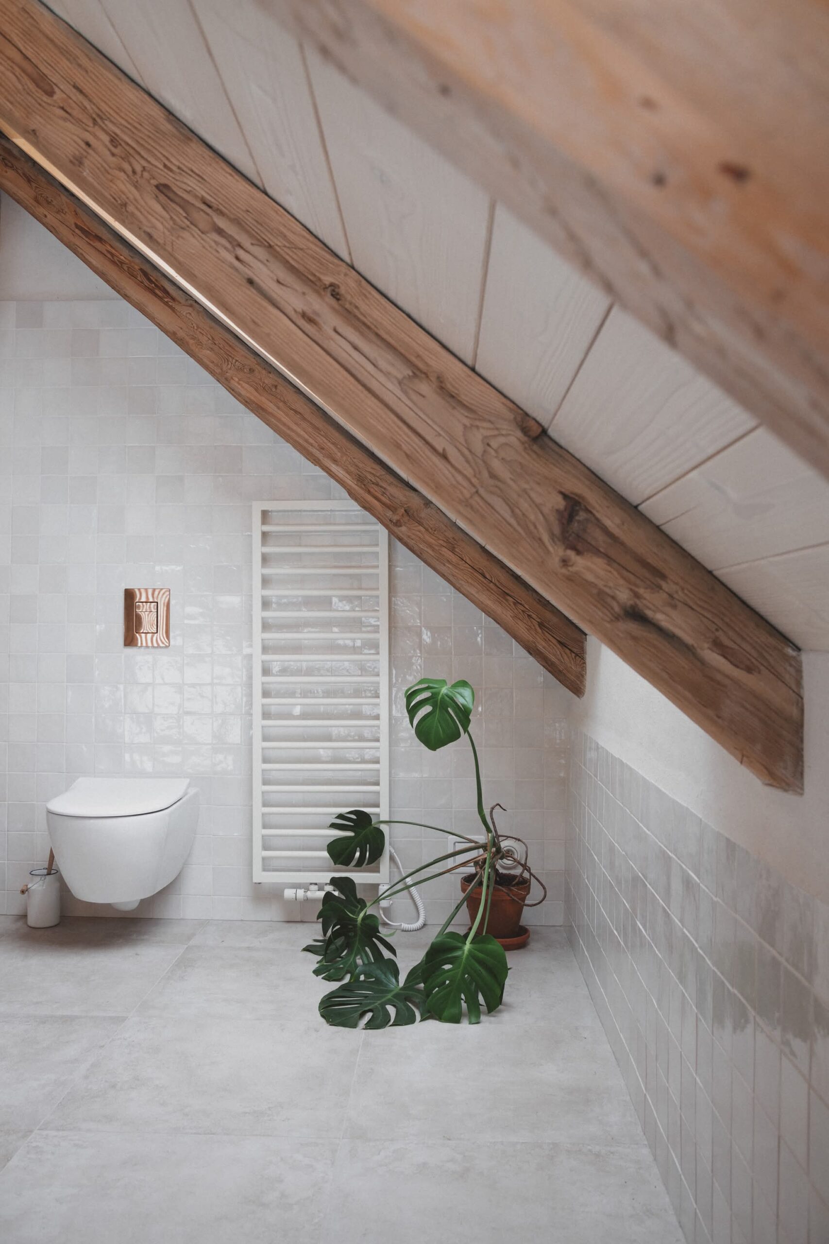 12_Kurz_architects_Zapomenta_chalupa_Arnostka_koupelna_toaleta