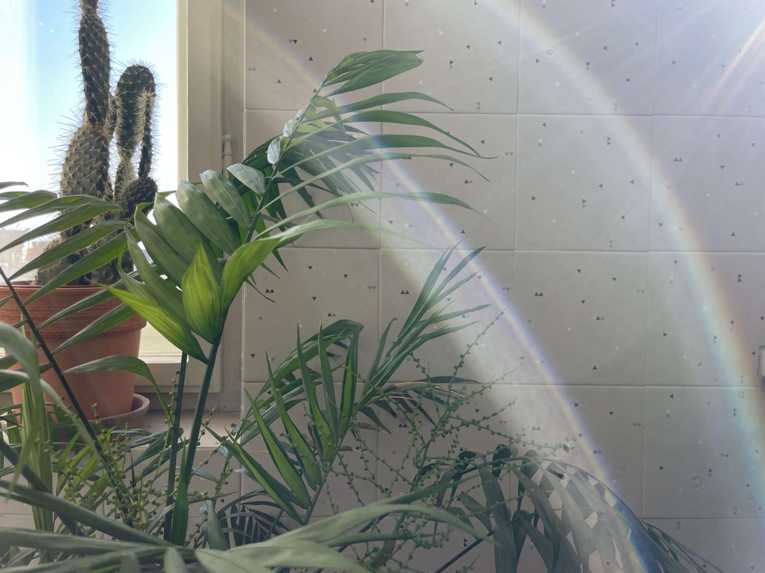 22_Kurz_architects_Cinzak_Ceske_Budejovice_koupelna