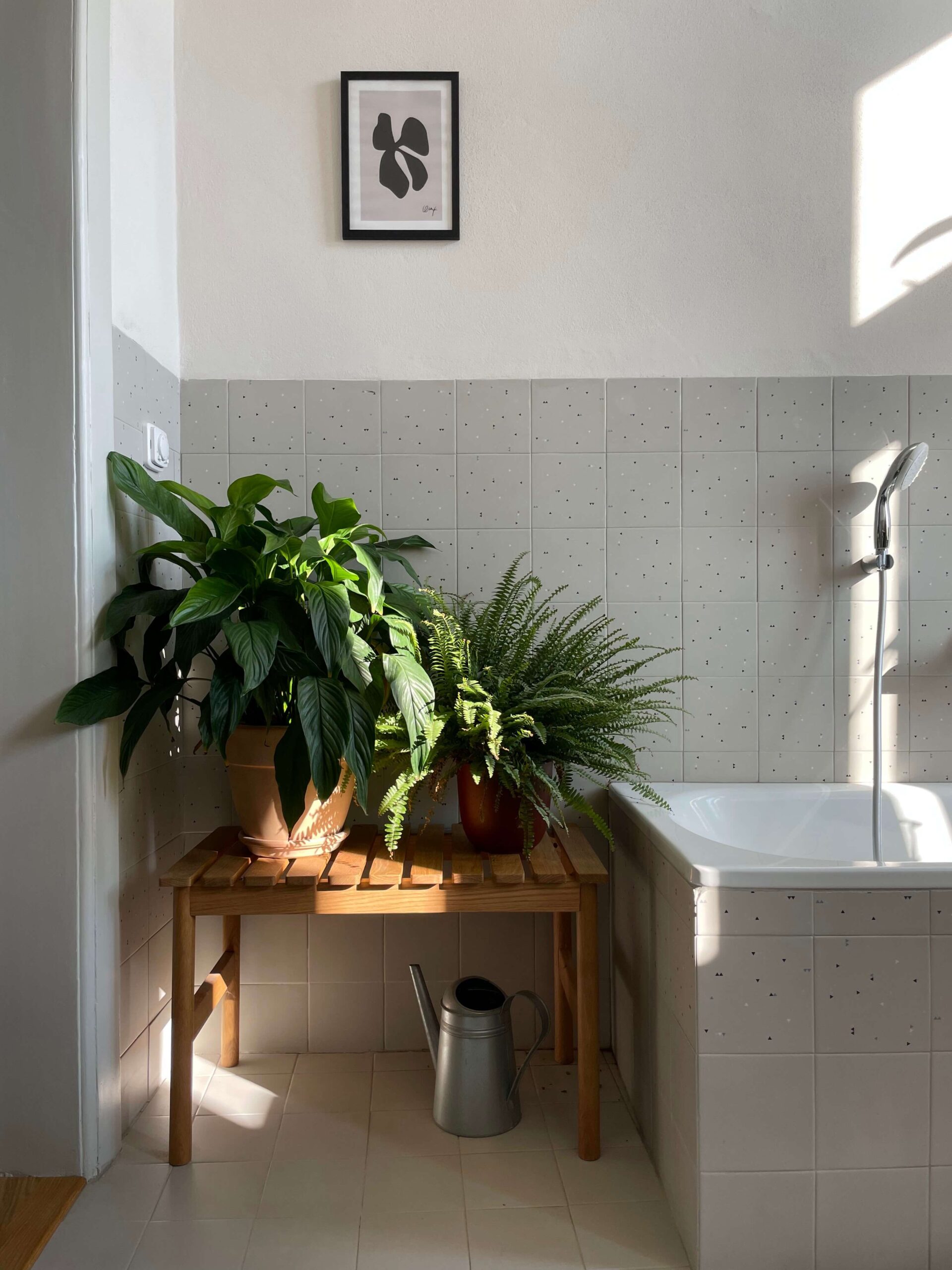 23_Kurz_architects_Cinzak_Ceske_Budejovice_koupelna_stiny