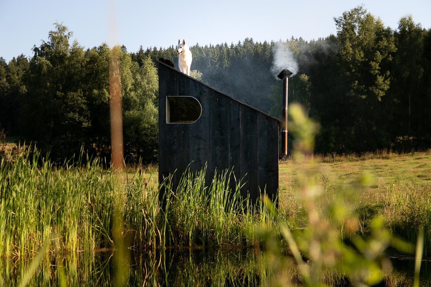KURZ_architects_Yakisugi_sauna-10