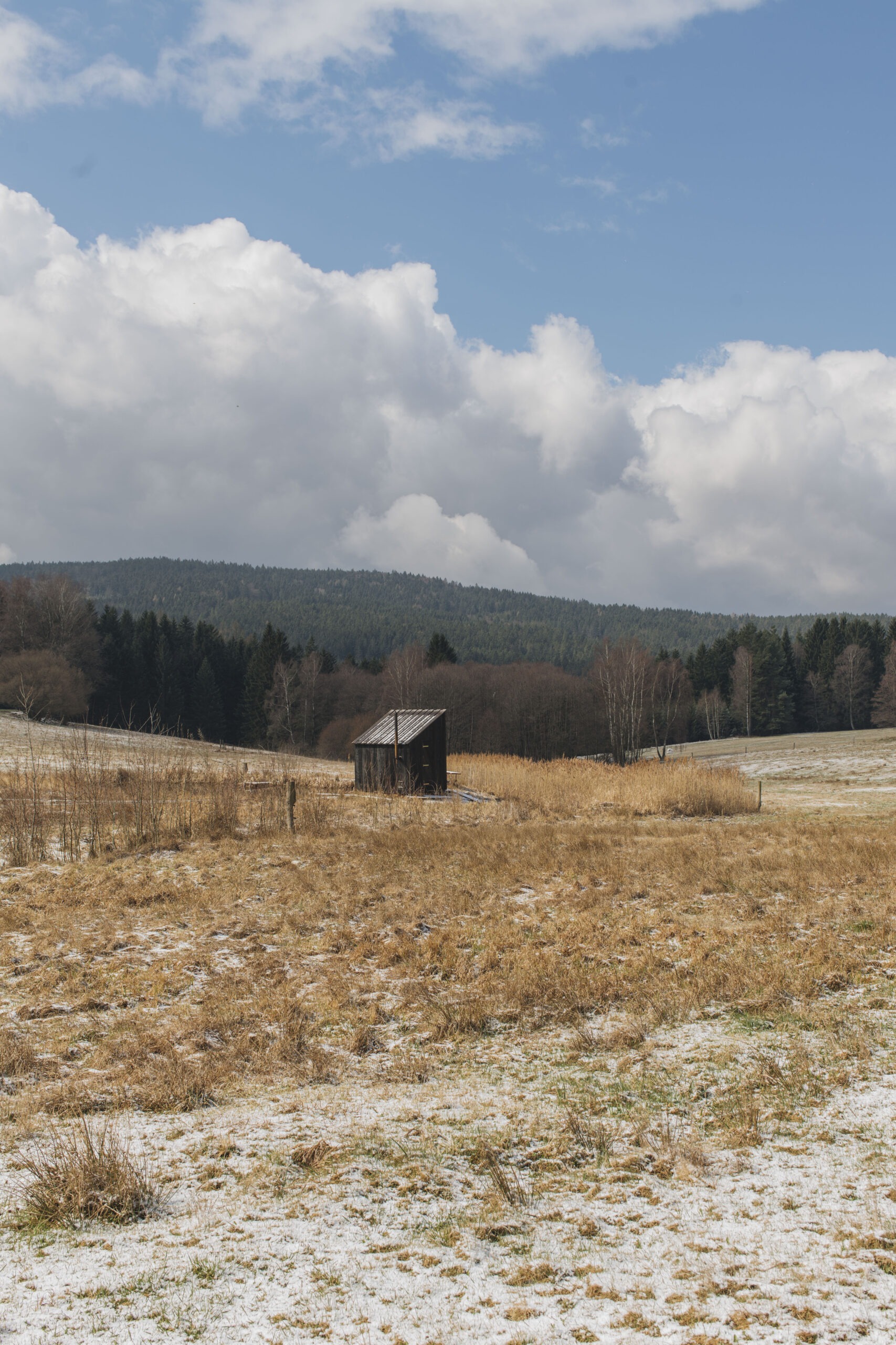 KURZ_architekti_sauna_yakisugi_fotoLucieFenclova_6